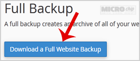 download button full backup