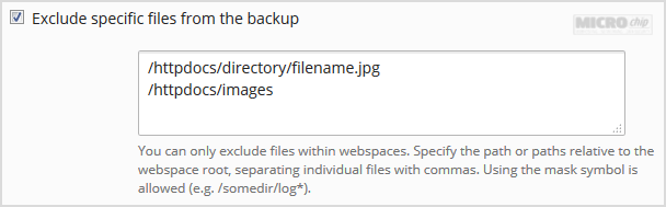 exclude file from backup plesk account